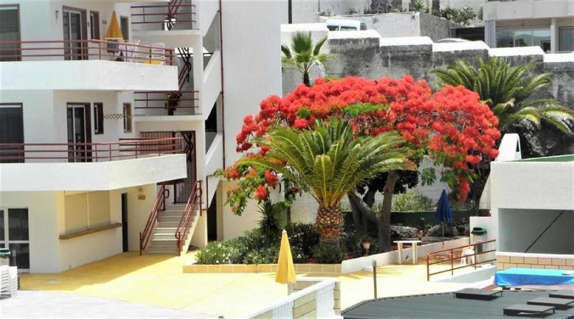 Apartamento Sol & Arena Пуерто-де-Сантьяго Екстер'єр фото
